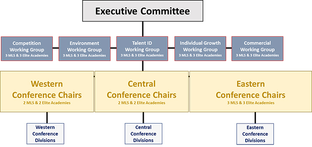 mls development structure