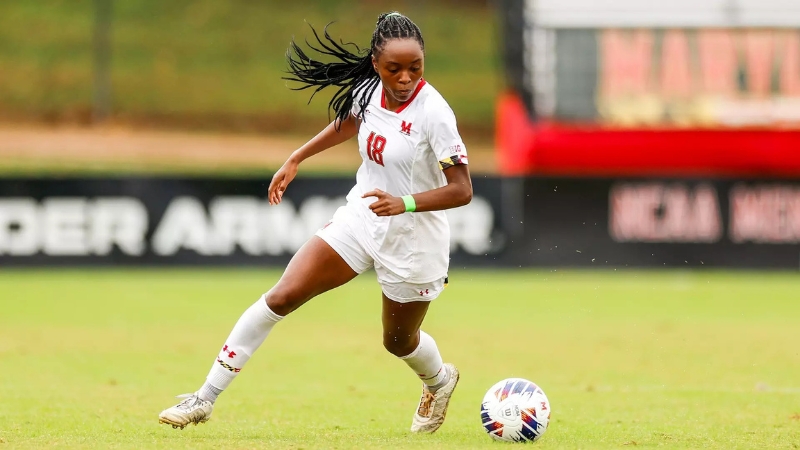 Underrated Women's Transfer Portal Signings