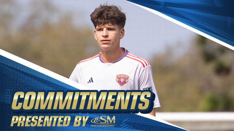 Commitments: A Defender's Decision