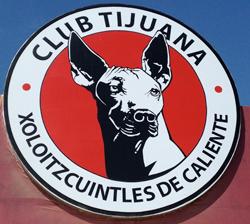 Club Tijuana, Xolos, Copa Libertadores