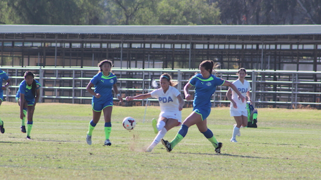 NPL Notebook: PDA girls on the rise