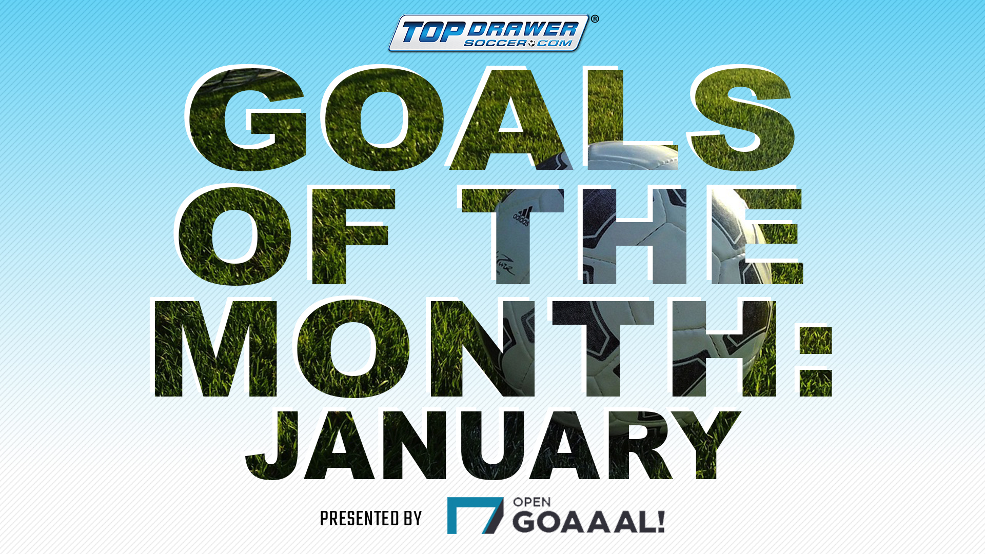 Goals of the Month: January