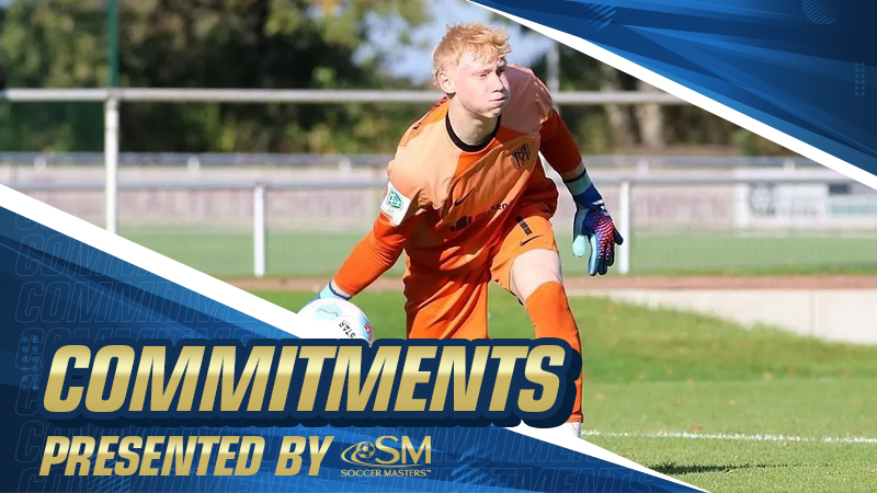 Commitments: Making a Decision for Delaware