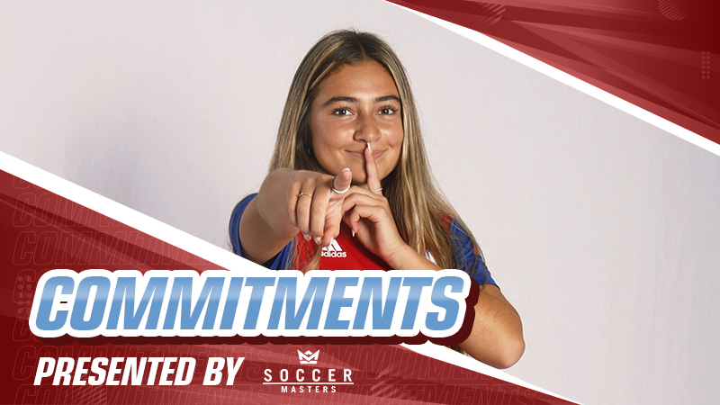 Commitments: A Defender's Decision