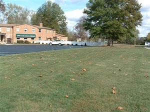 grass club soccer field