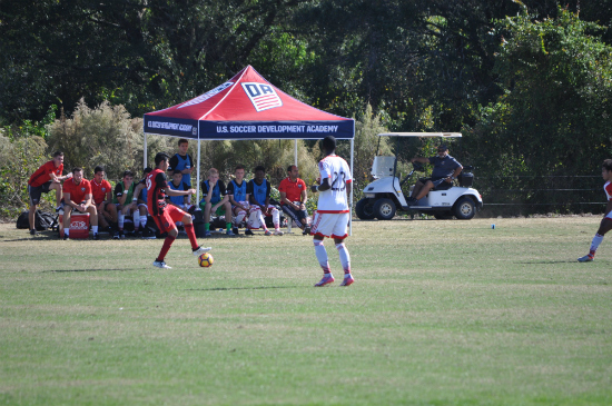 2016 DA Winter Showcase Photos