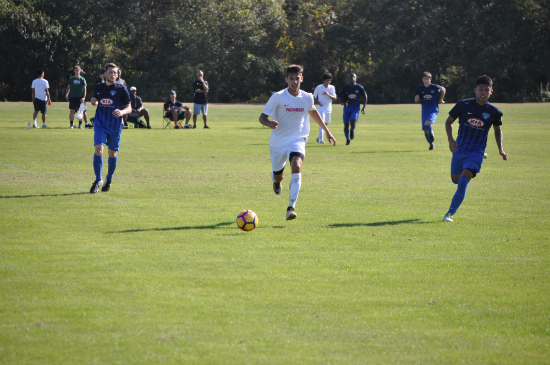 2016 DA Winter Showcase Photos