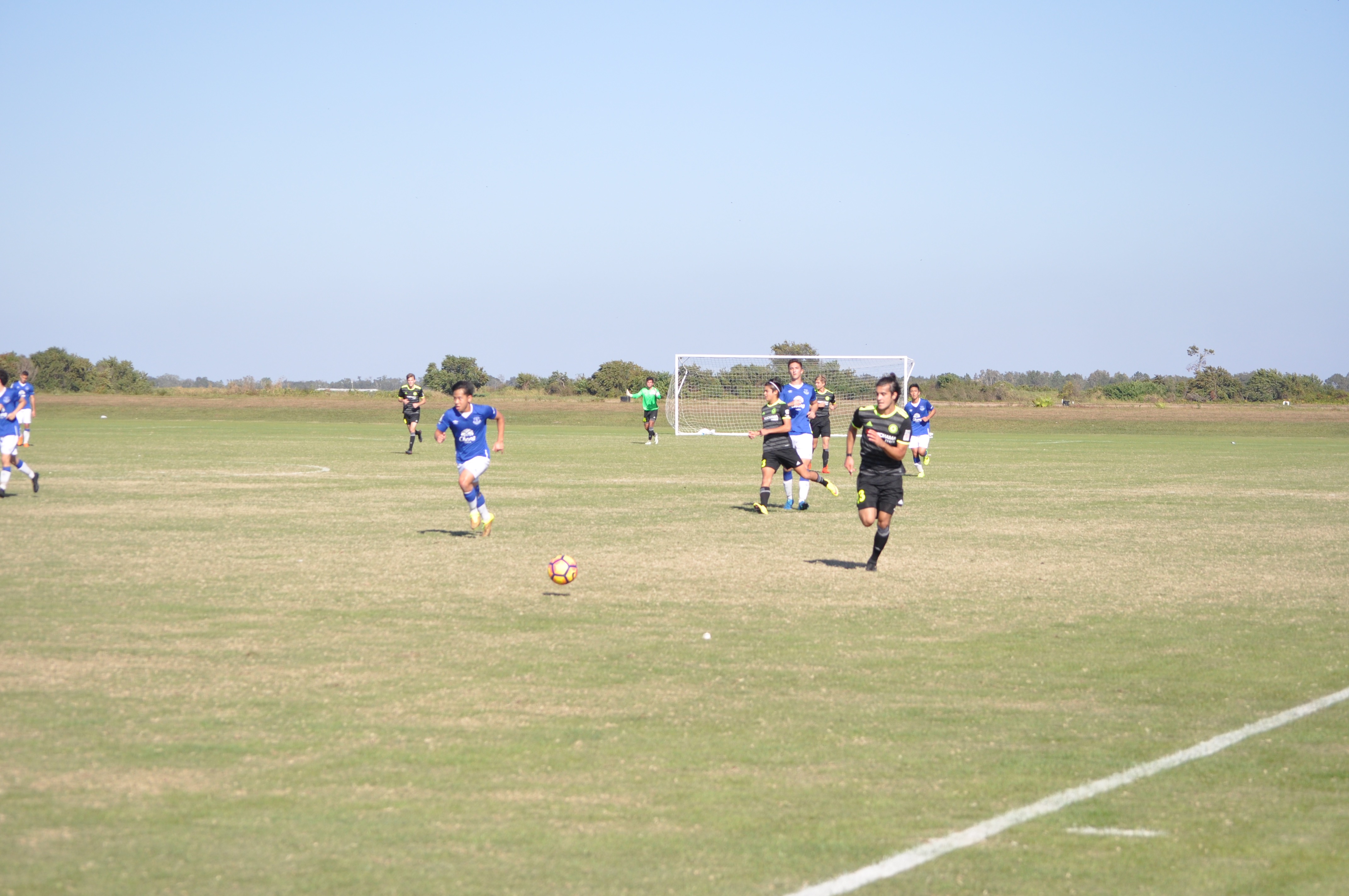 2016 DA Winter Showcase Photos