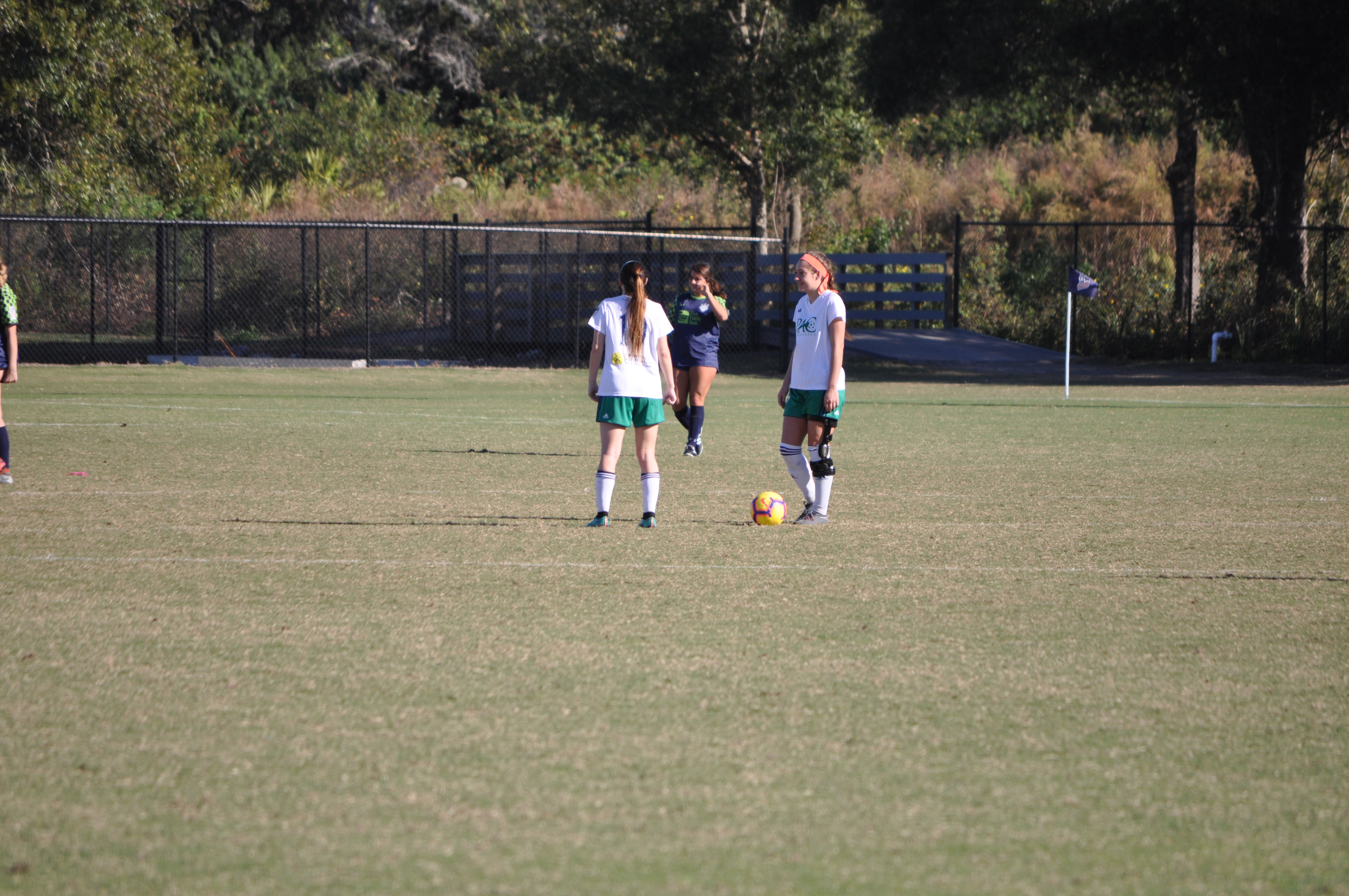 Girls DA Winter Showcase