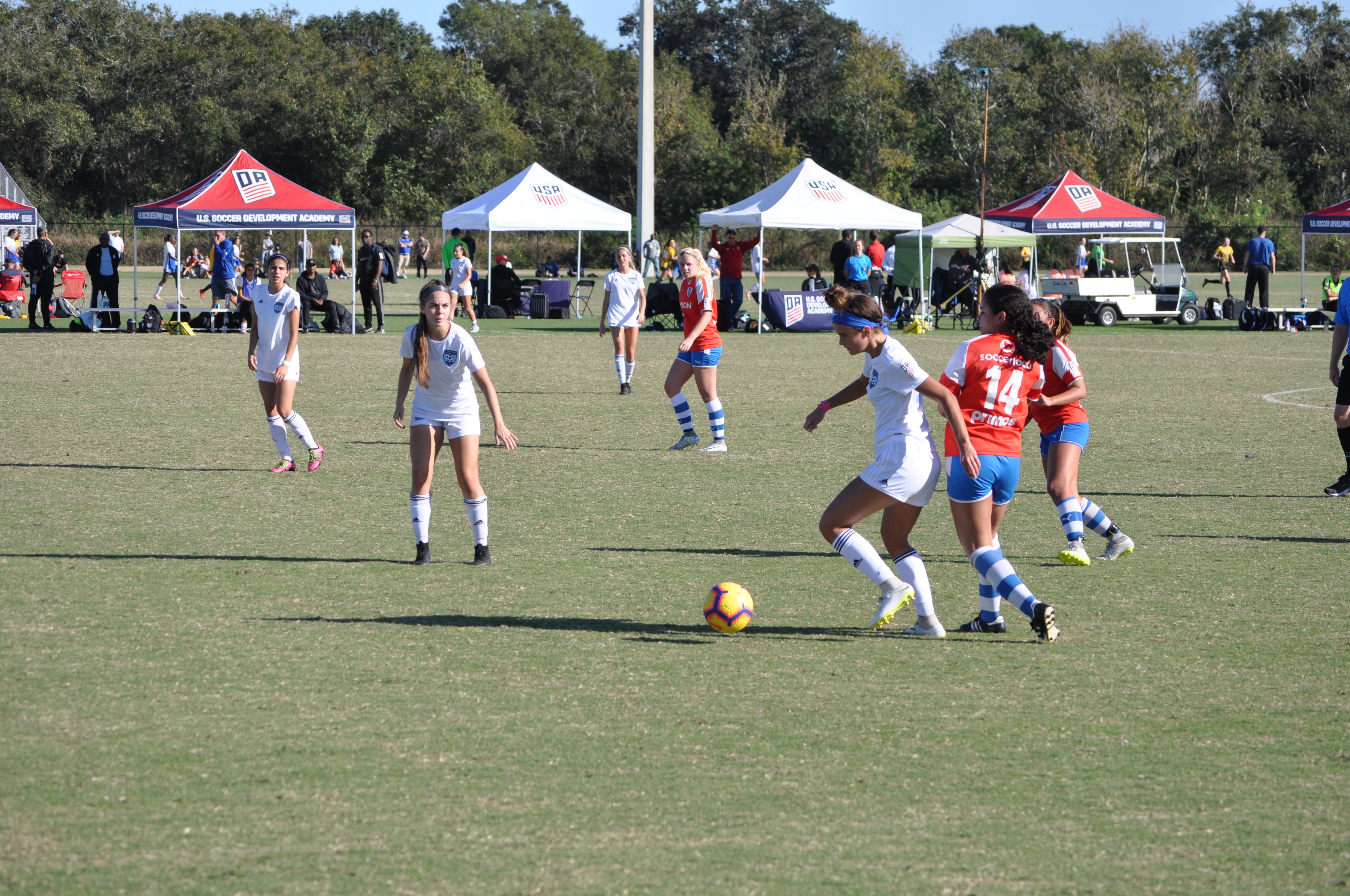 Girls DA Winter Showcase
