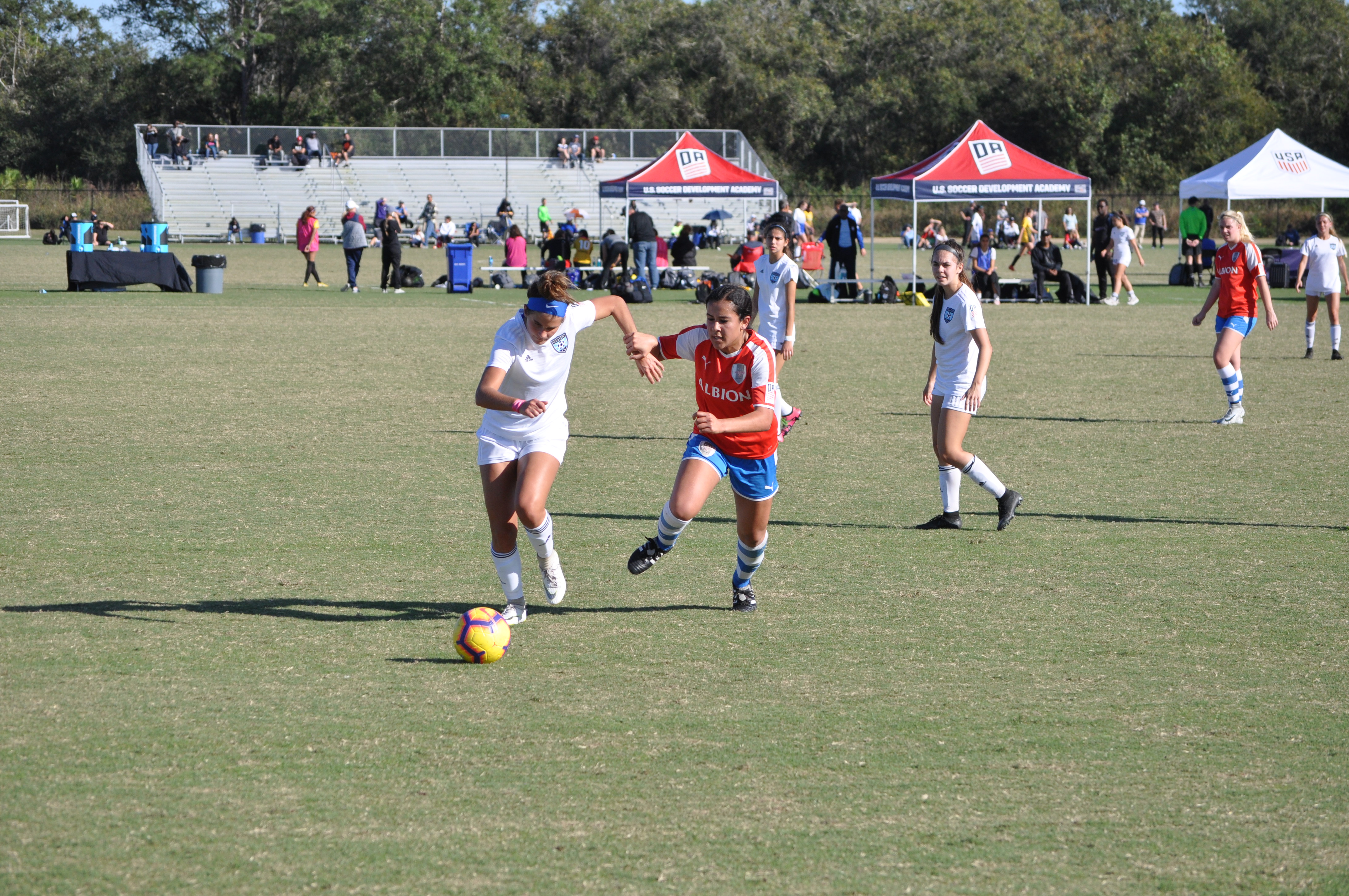 Girls DA Winter Showcase