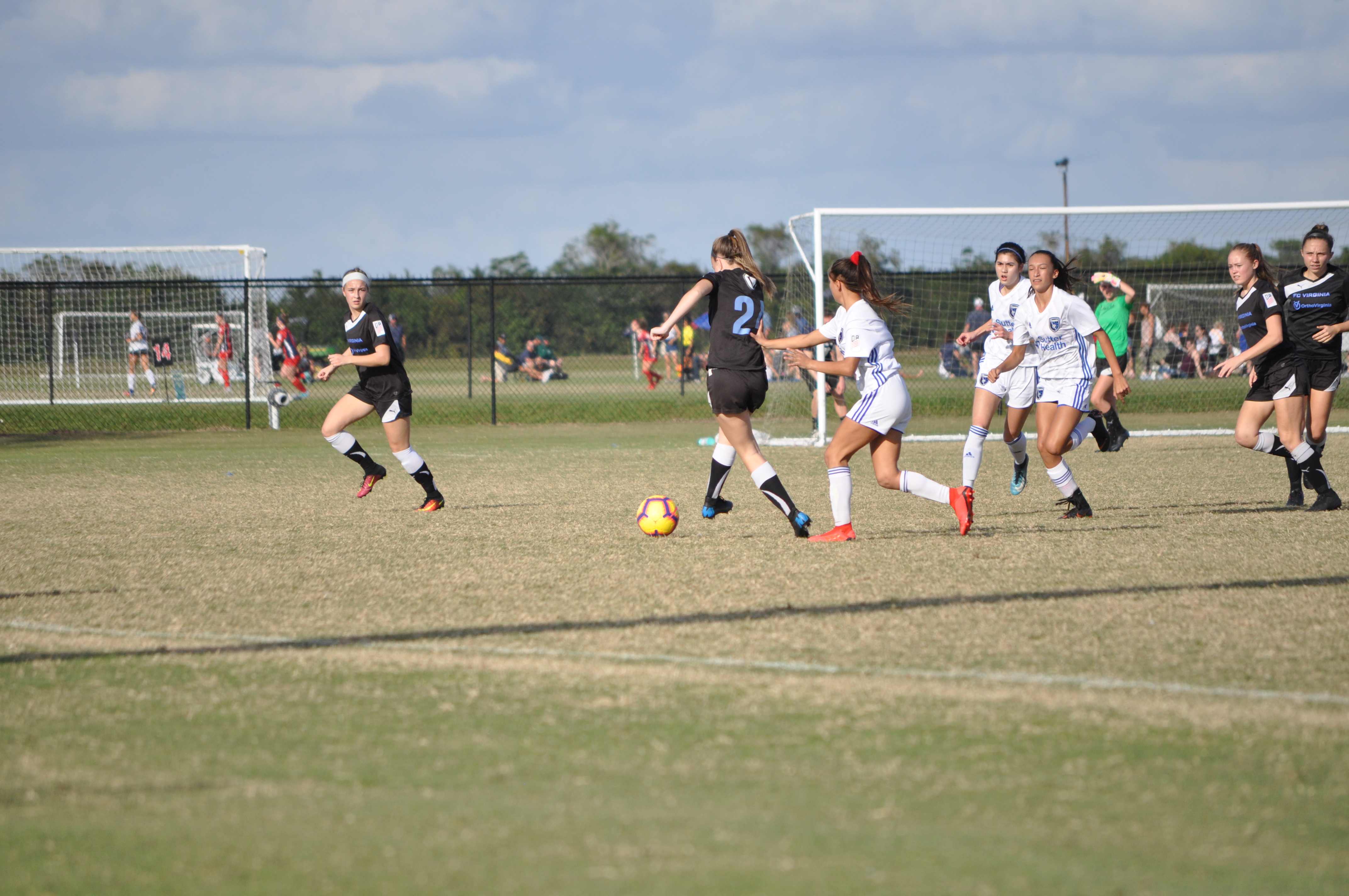 2018 Girls DA Winter Showcase