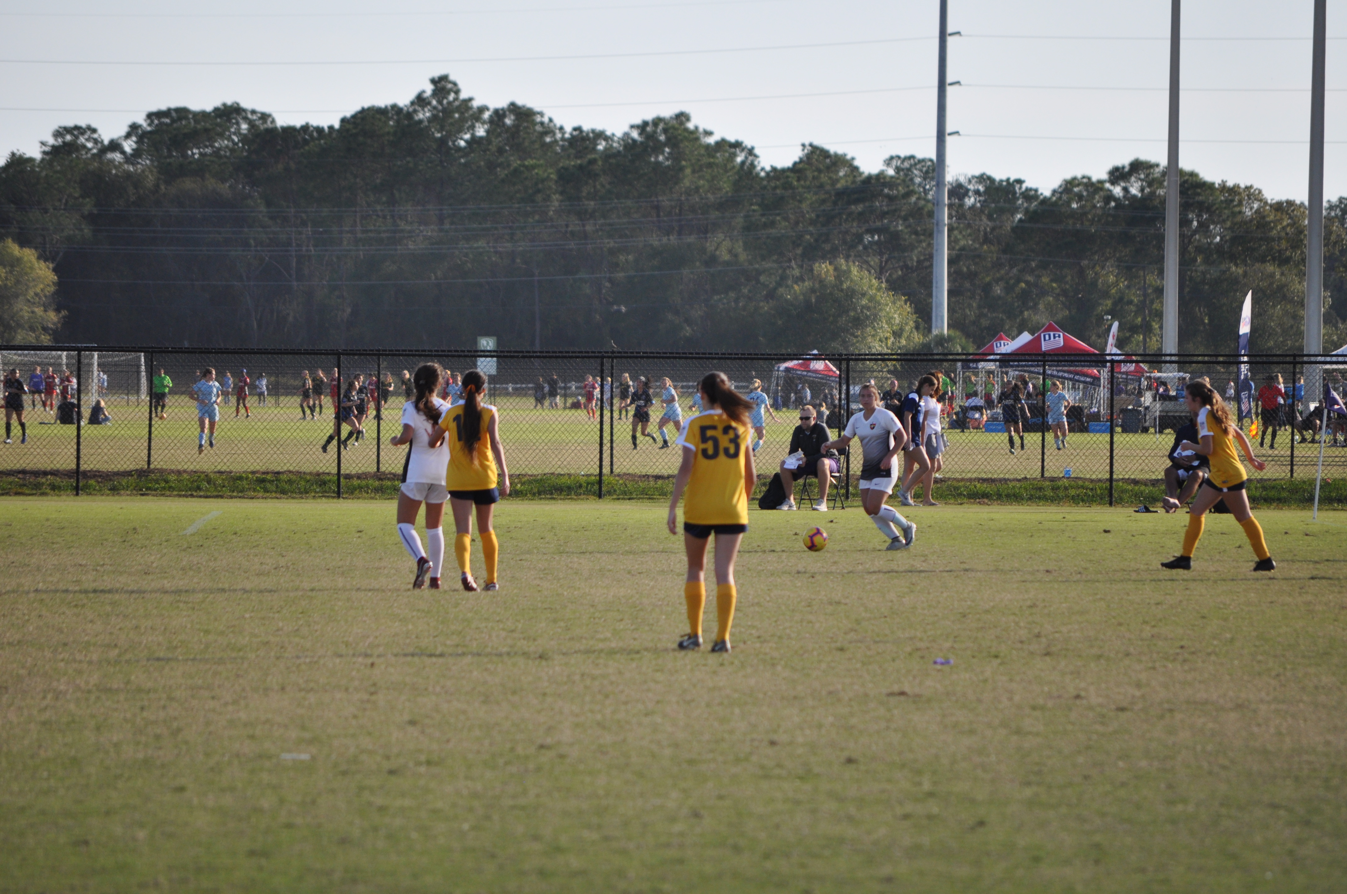 2018 Girls DA Winter Showcase
