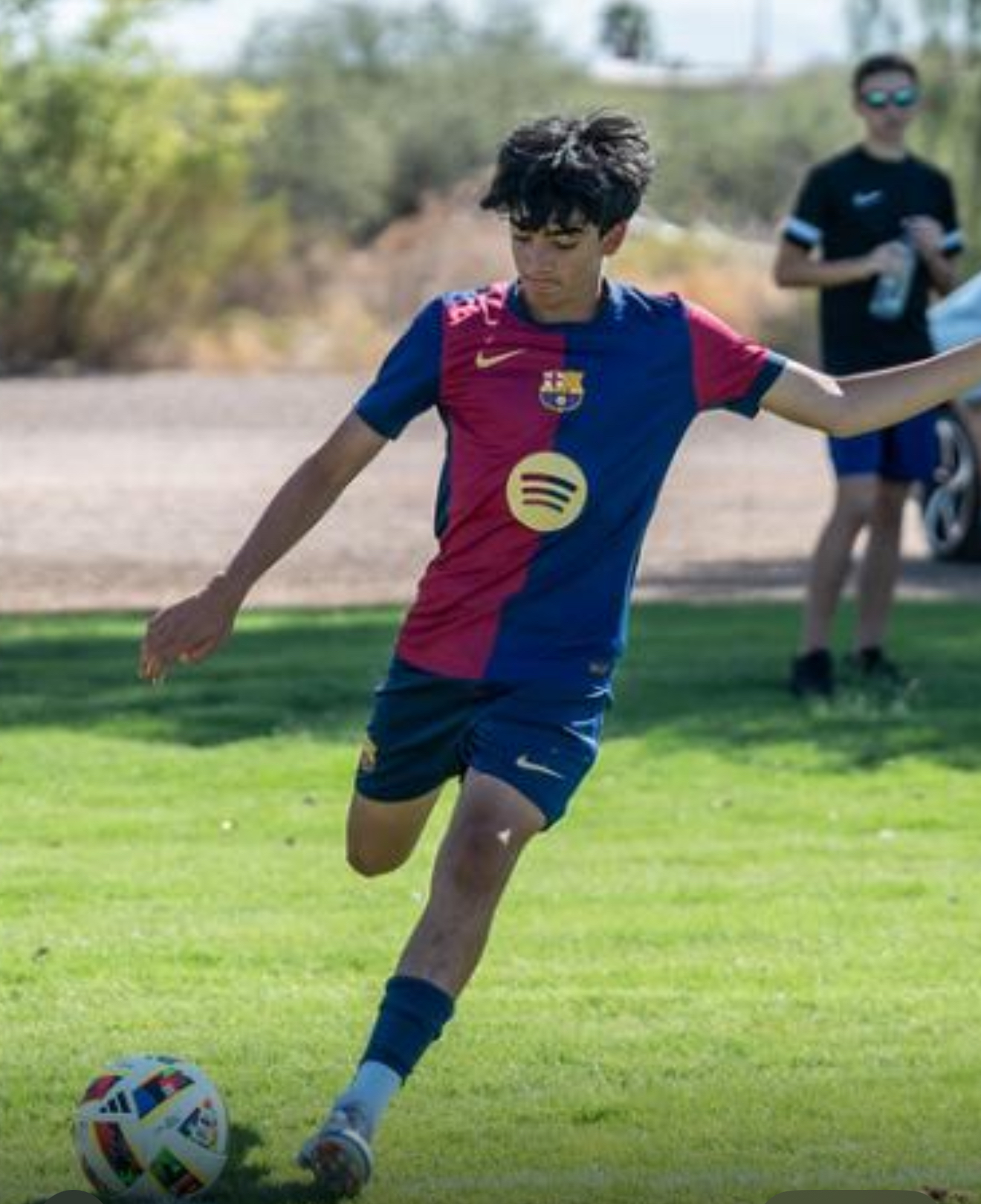 Arman Alagha