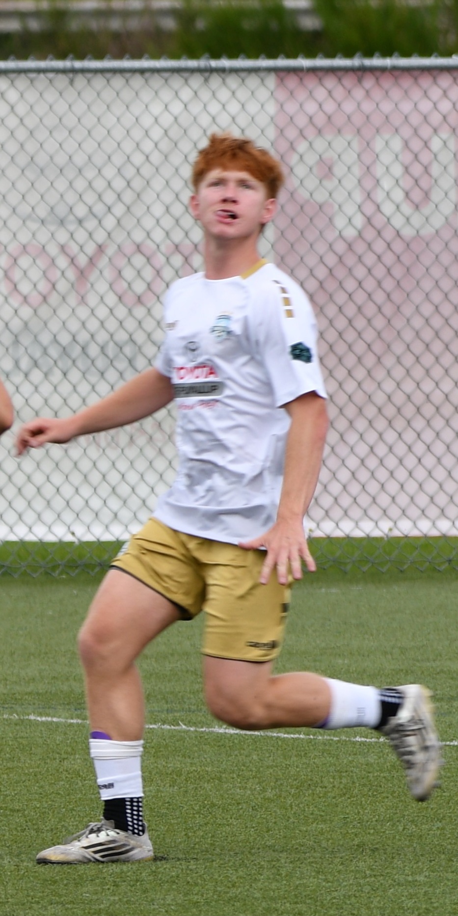 Quinlan Pasquale